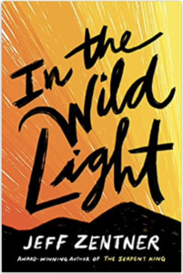 Cover of the book In the Wild Light by Jeff Zentner. Black mountains and an orange and yellow sunrise in the background, the title words in black, and author names in white.