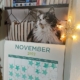 Picture of a calendar for November 2023